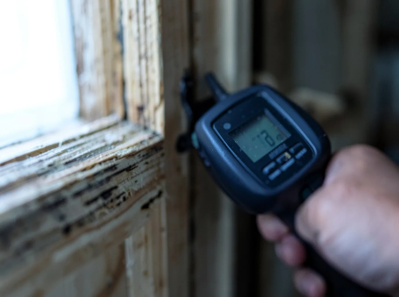 Moisture Inspection And Documentation in Comer, GA